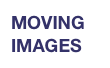 MOVING IMAGES